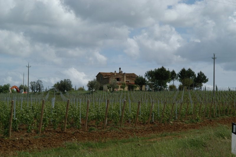 BIBBONA CAMPAGNA